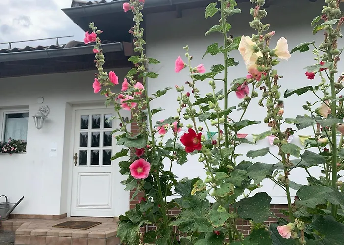 Ferienhaus Dornroeschen
