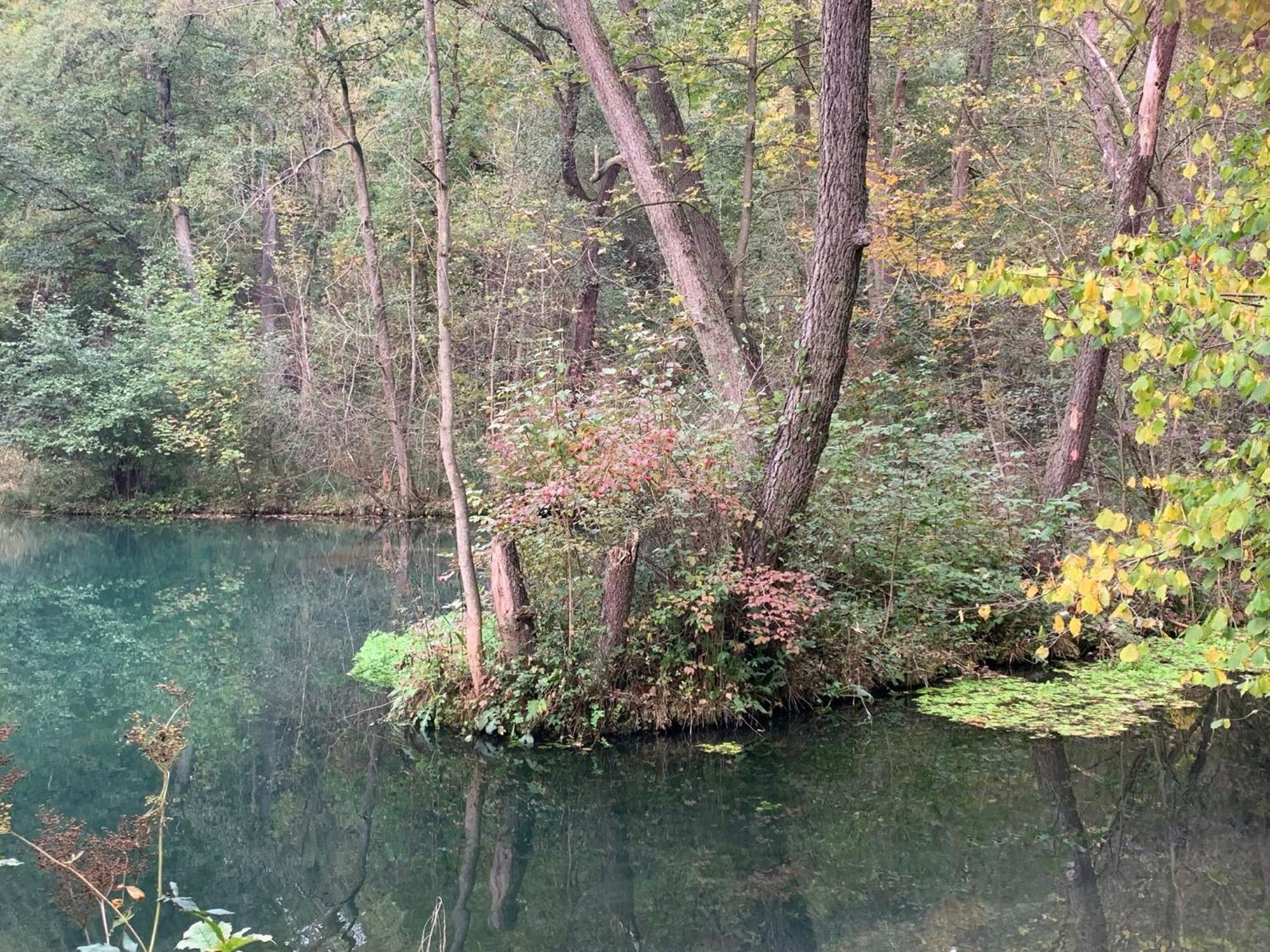 Hébergement de vacances Dornroeschen Osterode am Harz